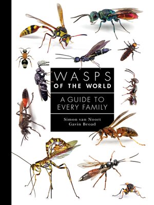 cover image of Wasps of the World